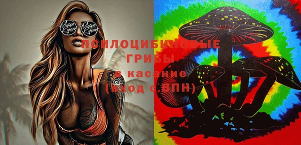 кокс Верея